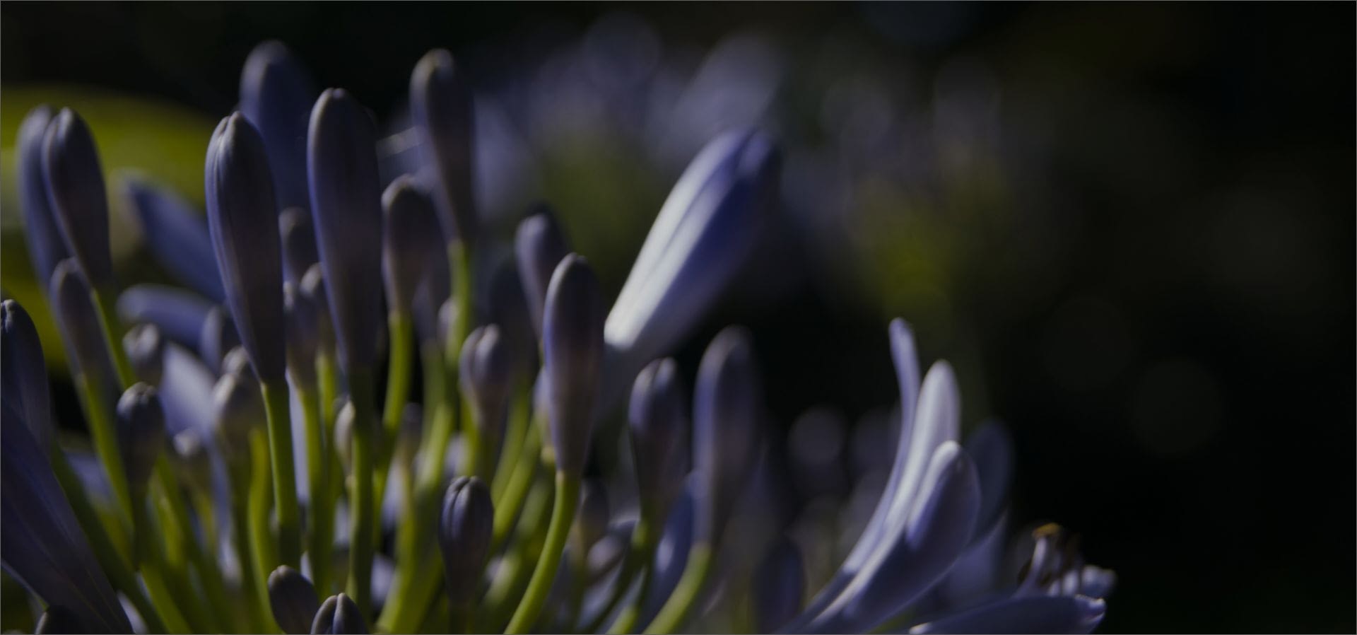 eiarte curso de fotografia